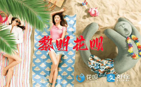 调皮捣蛋花呗